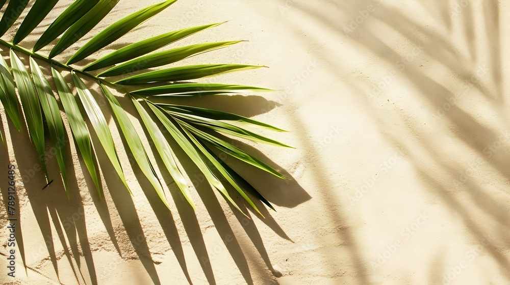 Poster Top view of green tropical leaf shadow on sand color background Flat lay Minimal summer concept with palm tree leaf Creative copyspace : Generative AI