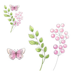 Watercolor clipart of pink berries branch with butterfly. Isolated. Springtime farmer kit in cartoon, romantic style for postcard, scrapbooking, sticker, poster, packing. Hand drawn
