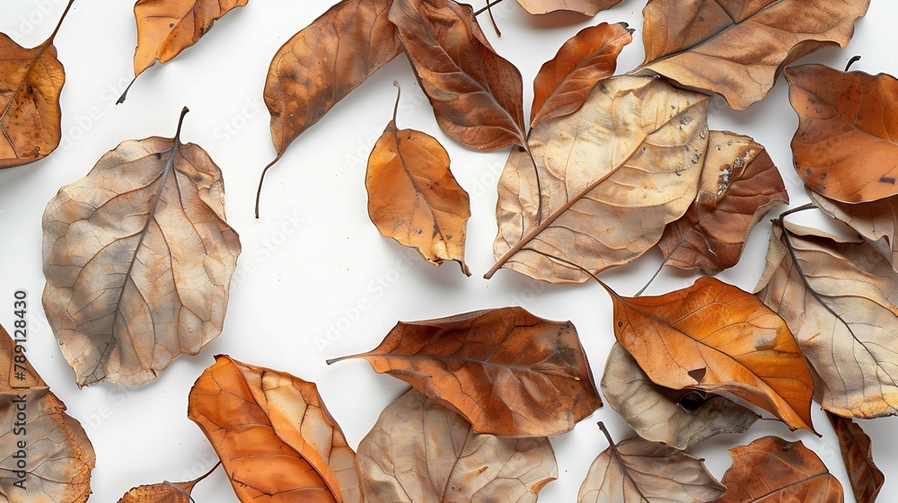 Poster autumn creative composition dried leaves on white background fall concept autumn background flat lay