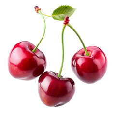 Cherries isolated on transparent background