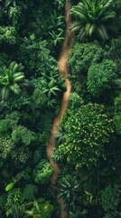 Transport your viewers to a world of exploration and discovery with a birds eye view of treks through lush, dense jungles Highlight the lush greenery, winding pathways - obrazy, fototapety, plakaty