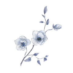 Blue watercolor flower, card, poster.