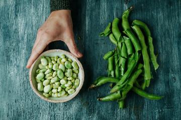 broad bean pods and man with a bowl of broad beans - obrazy, fototapety, plakaty