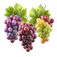 Red and green Grapes isolated on transparent background