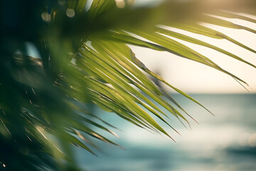 Beautiful summer time with palm tree leaves with blurred seascape on the background. summer beach with sun light.