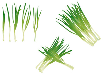 水彩風　葉ネギ　セット Fresh Vegetable Series:Watercolor Green Onion Set