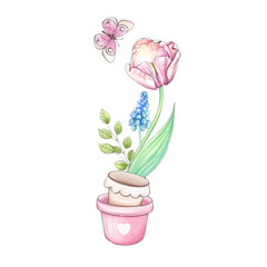 Watercolor primroses with butterfly, tulip and pots. Isolated. Springtime farmer kit in cartoon, romantic style for postcard, scrapbooking, sticker, poster, packing. Hand drawn