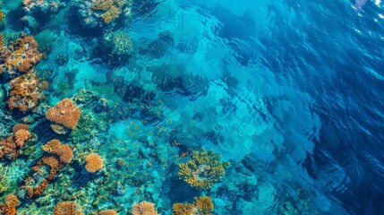 Fototapeta na wymiar Aerial view of the Great Barrier Reef, vivid coral patterns, clear blue waters