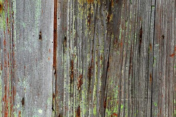 Background, texture of a wooden wall made of boards with sun-bleached and weathered green paint