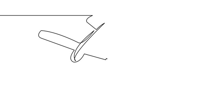 the skydiver jumped from the plane