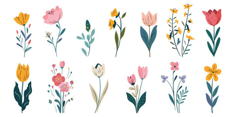 Set of illustrations of beautiful colored flowers on a white background.