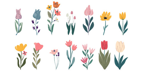 Set of illustrations of beautiful colored flowers on a white background.
