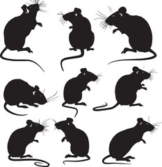 Rat with different poses silhouette vector black on white background, clean, simple