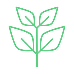 Obraz premium Plant