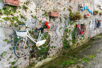 green wall decorated with old vintage colorful bicycle with flower pots and art