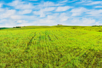 panoramic farmland landscape with green spring field , salad and yellow hills, garden and grassland...