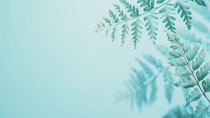 Minimalist Light Blue Background with Delicate Fern Leaf Macro.