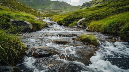 Peaceful stream flowing through a green mountain landscape