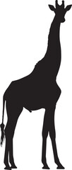 giraffe silhouette vector black on white background, clean, simple