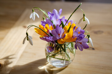 Bouquet of purple crocus in vase. Spring flowers in a vase. - obrazy, fototapety, plakaty