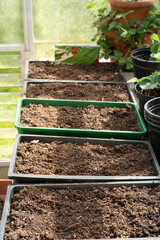 Verticle shot close up of a row of seedling trays of organic peat free compost ready for planting with vegetable seed packet watering can and flower pots in the background