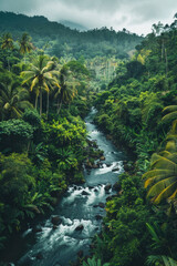 Fototapeta premium Aerial view of a river in a tropical jungle