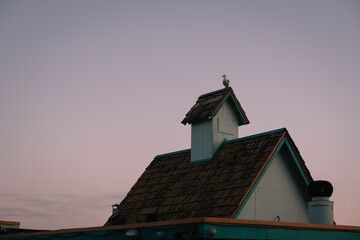 Seagull on the roof of a small house in Morro Bay, California