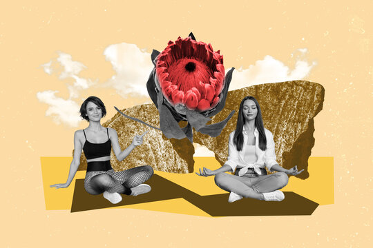Composite collage image of two friends girls yoga meditate together nature bloom flower bizarre unusual fantasy billboard