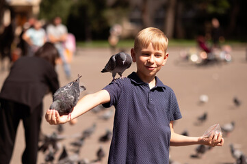 A little blond boy feeds pigeons in the park. Selective focus.