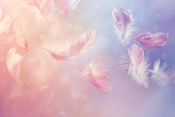 A collection of delicate angel feathers, gently floating against a heavenly backdrop, creating a serene and pure atmosphere with soft and pastel hues Created Using ethereal photography, delicat