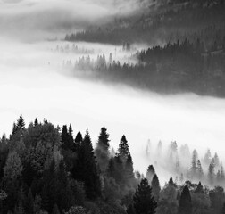 wonderful black - white autumn  image in mountains, autumn morning dawn, nature colorful background,