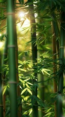 vertical tranquility, green bamboo shoots and leaves reaching for sunlight in a calm, dense forest environment