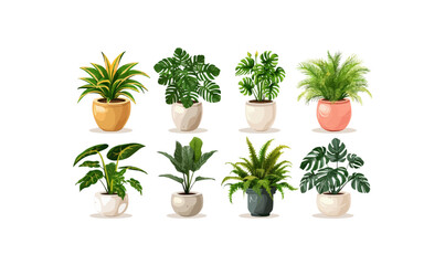 Set of trendy potted plants for home. Different indoor houseplants isolated on white background. Alocasia, begonia, fan palm, monstera, ficus, strelitzia and oxalis