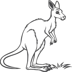 Kangaroo coloring pages. Kangaroo animal outline for coloring book