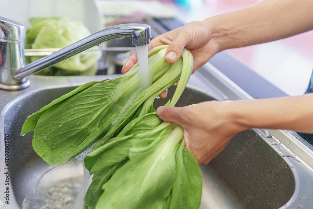 Canvas Prints Woman hands washing fresh green bok choy in kitchen