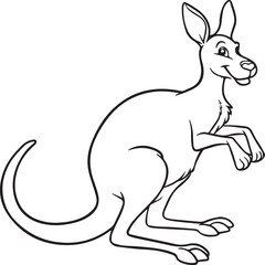 Kangaroo coloring pages. Kangaroo animal outline for coloring book