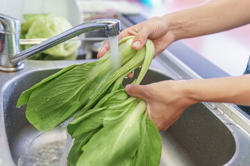 Woman hands washing fresh green bok choy in kitchen - obrazy, fototapety, plakaty