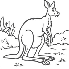 Kangaroo coloring pages. Kangaroo animal outline for coloring book
