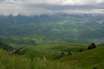 Fototapeta premium Beautiful green landscape in the mountains 