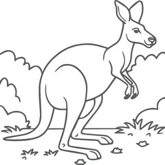 Kangaroo coloring pages. Kangaroo animal outline for coloring book