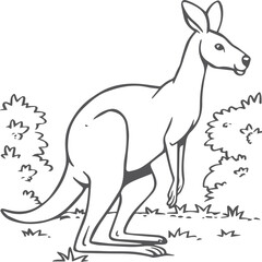 Kangaroo coloring pages. Kangaroo animal outline for coloring book