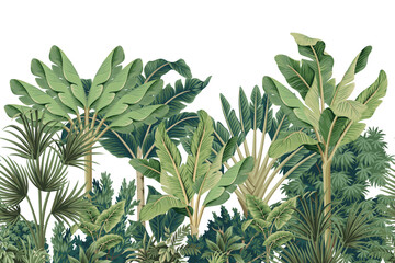 Tropical vintage botanical palm trees, banana tree, green plants floral seamless border white background. Exotic jungle wallpaper. - 789206469
