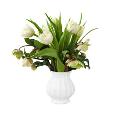 Bouquet of white tulips and hellebore flowers in a white vase isolated on white or transparent background
