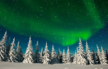 Polarlichter über einer Schneelandschaft - 789208266