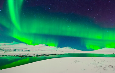 Polarlichter über einer Schneelandschaft