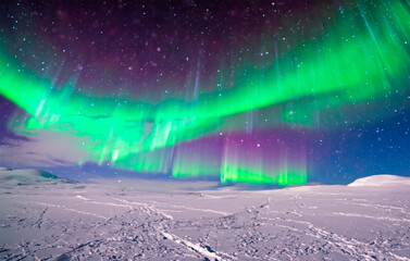 Polarlichter über einer Schneelandschaft - 789208284