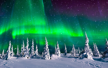 Polarlichter über einer Schneelandschaft - 789208293