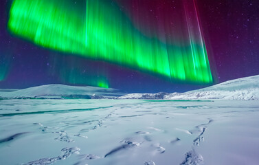 Polarlichter über einer Schneelandschaft - 789208296