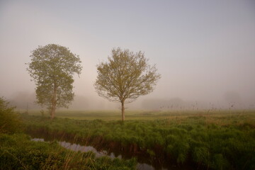 Fototapeta na wymiar Friesischer Nebel - von strahlenden Sommermorgen bis zu milchigen Wintertagen - Frieslands sanfte Seite 21