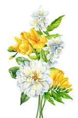 Summer flowers Watercolor painting illustration, Hand drawn jasmine, dahlia, yellow freesia on white background. Bouquet